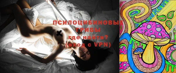 дживик Арсеньев