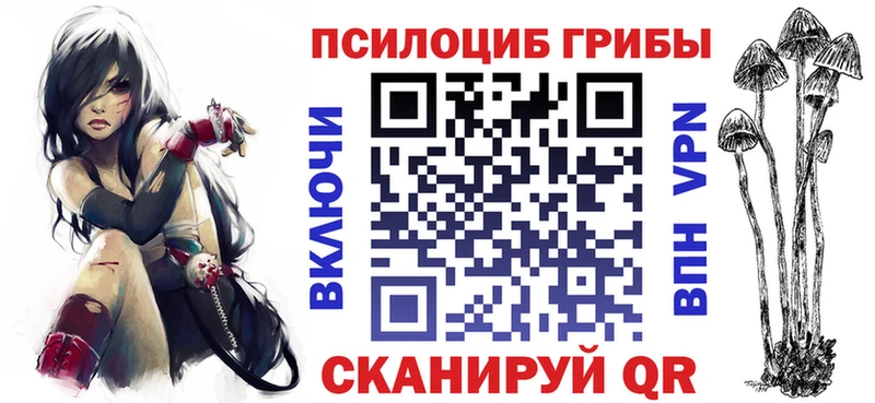купить наркотик  Красный Кут  Псилоцибиновые грибы GOLDEN TEACHER 